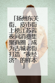 扬州东关街、皮市街上榜江苏省夜间消费集聚商圈，成为古城老街打造“夜经济”的样本