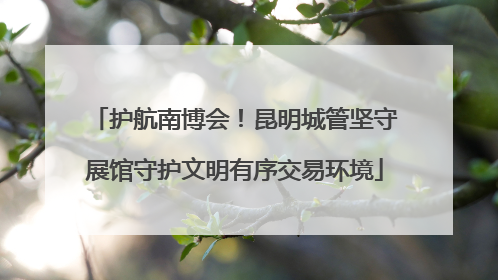 护航南博会！昆明城管坚守展馆守护文明有序交易环境