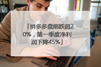 拼多多盘前跌超20%，第一季度净利润下降45%