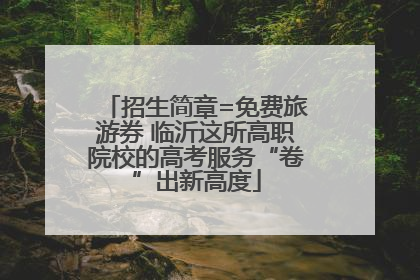 招生简章=免费旅游券 临沂这所高职院校的高考服务“卷”出新高度