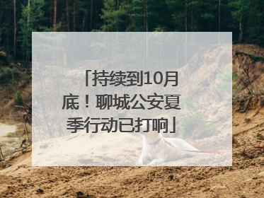 持续到10月底！聊城公安夏季行动已打响