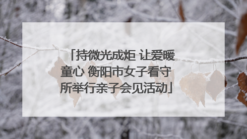 持微光成炬 让爱暖童心 衡阳市女子看守所举行亲子会见活动
