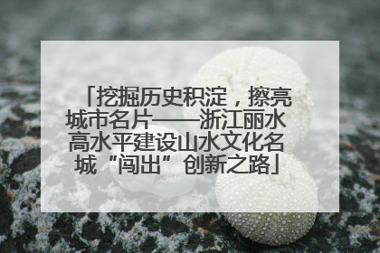 挖掘历史积淀，擦亮城市名片——浙江丽水高水平建设山水文化名城“闯出”创新之路