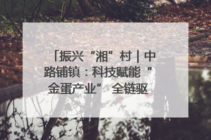振兴“湘”村｜中路铺镇：科技赋能“金蛋产业” 全链驱动乡村振兴