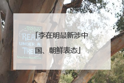 李在明最新涉中国、朝鲜表态