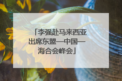 李强赴马来西亚出席东盟—中国—海合会峰会