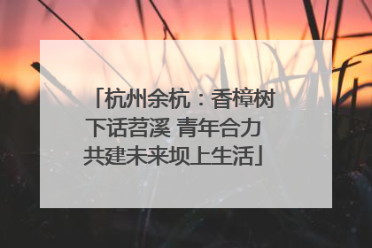 杭州余杭：香樟树下话苕溪 青年合力共建未来坝上生活