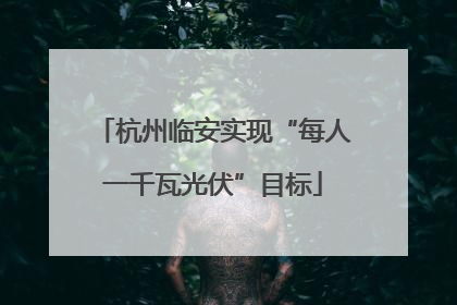 杭州临安实现“每人一千瓦光伏”目标