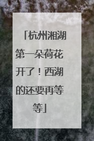 杭州湘湖第一朵荷花开了！西湖的还要再等等