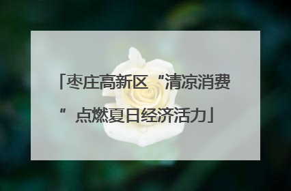 枣庄高新区“清凉消费”点燃夏日经济活力