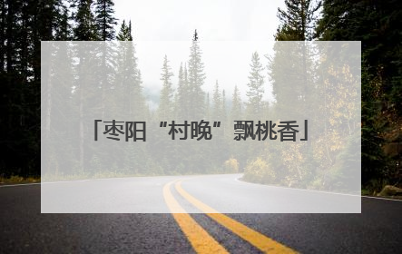 枣阳“村晚”飘桃香