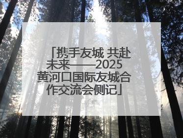 携手友城 共赴未来——2025黄河口国际友城合作交流会侧记