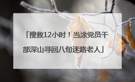 搜救12小时！当涂党员干部深山寻回八旬迷路老人
