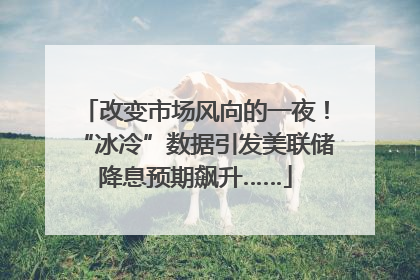 改变市场风向的一夜！“冰冷”数据引发美联储降息预期飙升……