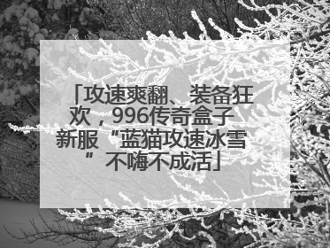 攻速爽翻、装备狂欢，996传奇盒子新服“蓝猫攻速冰雪”不嗨不成活