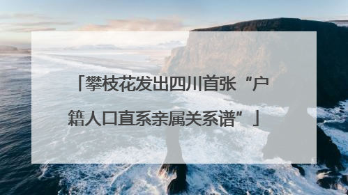 攀枝花发出四川首张“户籍人口直系亲属关系谱”