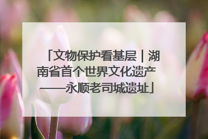 文物保护看基层｜湖南省首个世界文化遗产——永顺老司城遗址