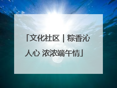 文化社区｜粽香沁人心 浓浓端午情