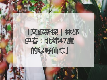 文旅新探｜林都伊春：北纬47度的绿野仙踪