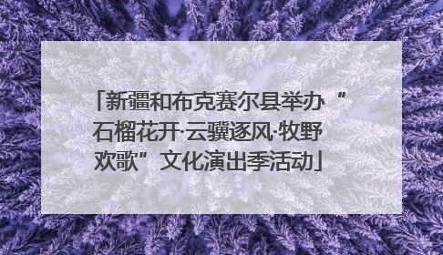 新疆和布克赛尔县举办“石榴花开·云骥逐风·牧野欢歌”文化演出季活动