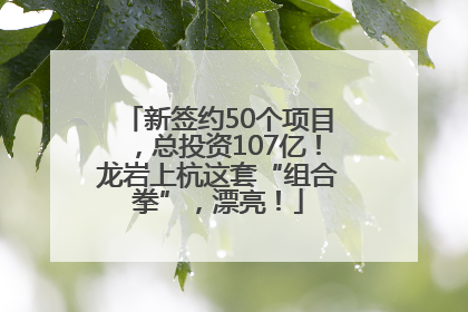 新签约50个项目，总投资107亿！龙岩上杭这套“组合拳”，漂亮！