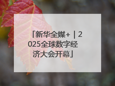 新华全媒+｜2025全球数字经济大会开幕