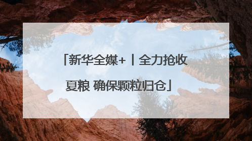 新华全媒+丨全力抢收夏粮 确保颗粒归仓