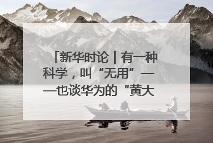 新华时论｜有一种科学，叫“无用”——也谈华为的“黄大年茶思屋”