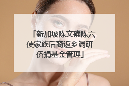 新加坡陈文确陈六使家族后裔返乡调研侨捐基金管理
