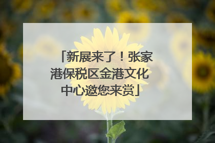 新展来了！张家港保税区金港文化中心邀您来赏