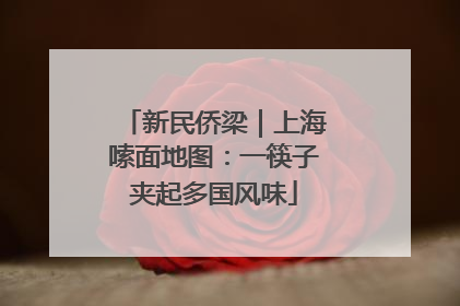 新民侨梁｜上海嗦面地图：一筷子夹起多国风味