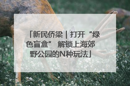 新民侨梁｜打开“绿色盲盒” 解锁上海郊野公园的N种玩法