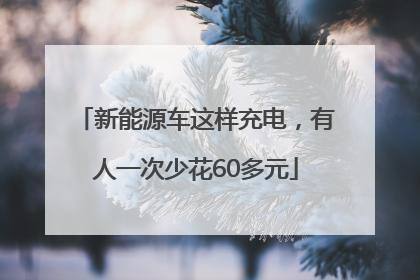 新能源车这样充电，有人一次少花60多元
