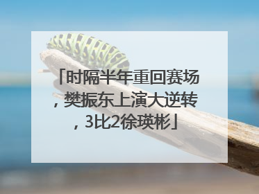 时隔半年重回赛场，樊振东上演大逆转，3比2徐瑛彬