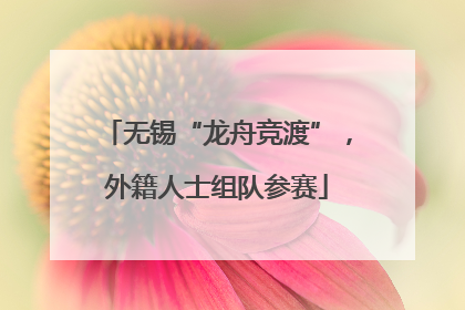 无锡“龙舟竞渡”，外籍人士组队参赛