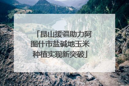 昆山援疆助力阿图什市盐碱地玉米种植实现新突破