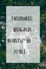 昭通威信：循环水养虾助力产业升级