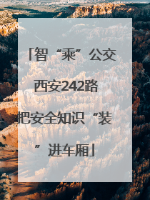智“乘”公交 西安242路把安全知识“装”进车厢