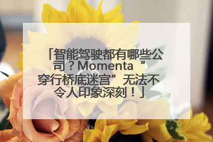 智能驾驶都有哪些公司？Momenta“穿行桥底迷宫”无法不令人印象深刻！