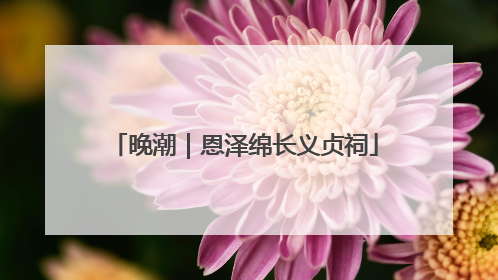 晚潮｜恩泽绵长义贞祠