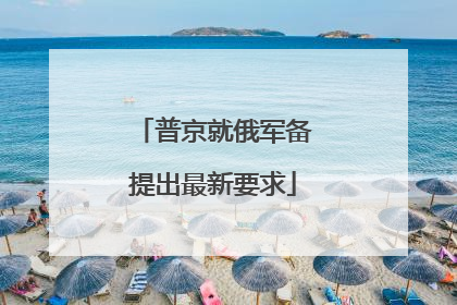 普京就俄军备提出最新要求