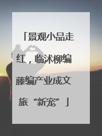 景观小品走红，临沭柳编藤编产业成文旅“新宠”