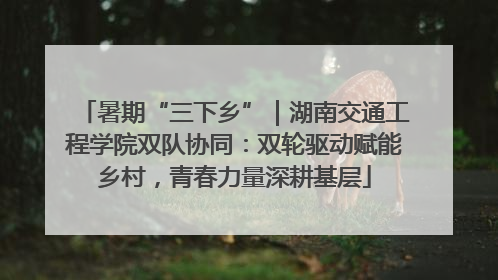 暑期“三下乡”｜湖南交通工程学院双队协同：双轮驱动赋能乡村，青春力量深耕基层