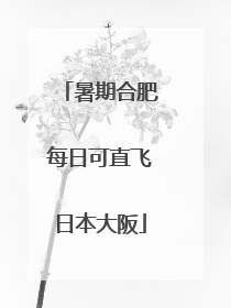 暑期合肥每日可直飞日本大阪
