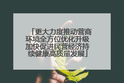 更大力度推动营商环境全方位优化升级加快促进民营经济持续健康高质量发展