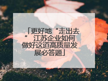更好地“走出去” 江苏企业如何做好这道高质量发展必答题