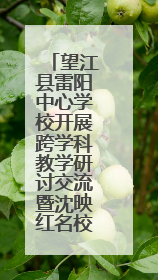望江县雷阳中心学校开展跨学科教学研讨交流暨沈映红名校长工作室送教活动