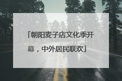 朝阳麦子店文化季开幕，中外居民联欢