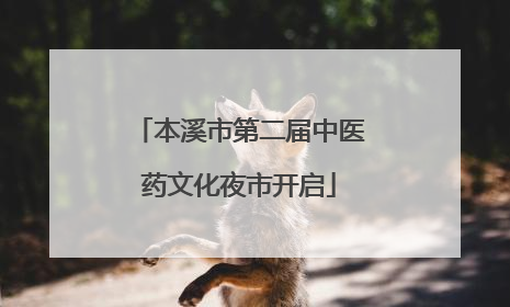 本溪市第二届中医药文化夜市开启