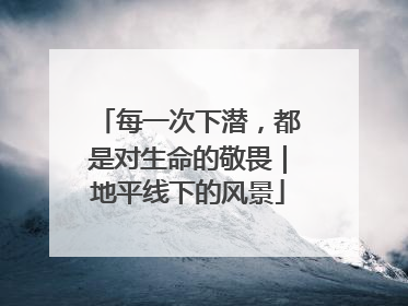 每一次下潜，都是对生命的敬畏｜地平线下的风景